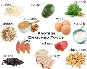 hight protein food